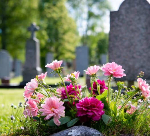 Rosa och lila blommor placerade på en gravplats med gravstenar i bakgrunden.